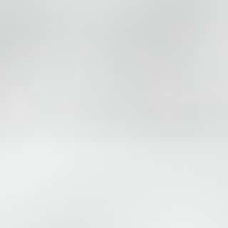 White color swatch