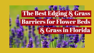The Best Edging & Grass Barriers for Flower Beds  & Grass in Florida