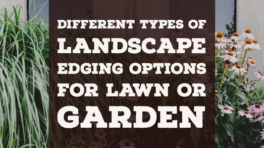 Different Types of Landscape Edging Options for Lawn or Garden