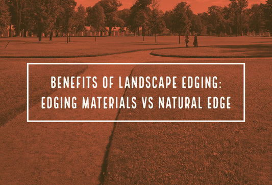 Benefits of Landscape Edging: Edging Materials vs Natural Edge