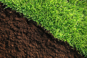 Stake Driven, In-Ground or Hybrid Landscape Edging: How to Choose