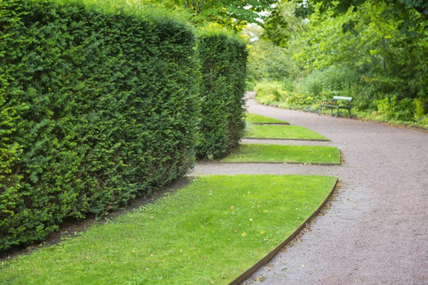 Types of Landscape Edging: Why Size & Depth ALWAYS Matter