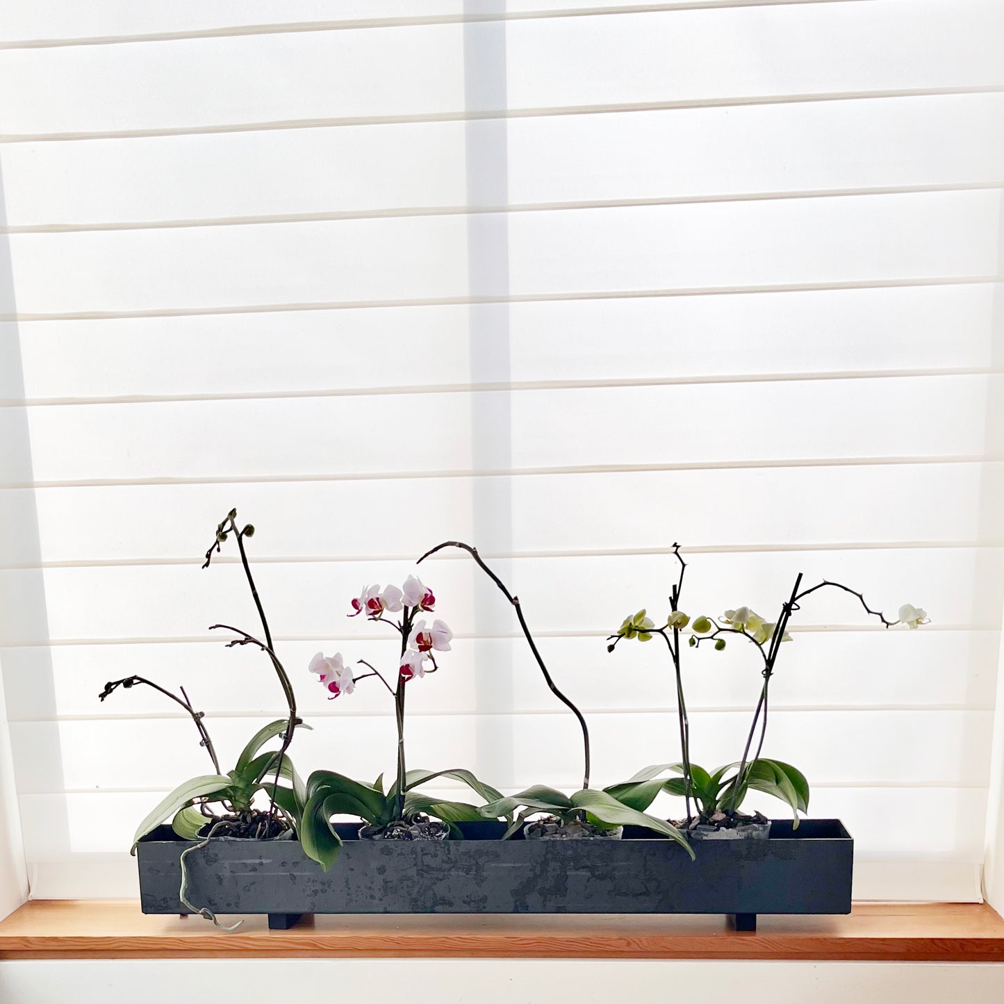 Steel Planter Box (32" L x 3.5" W x 3.5" H)