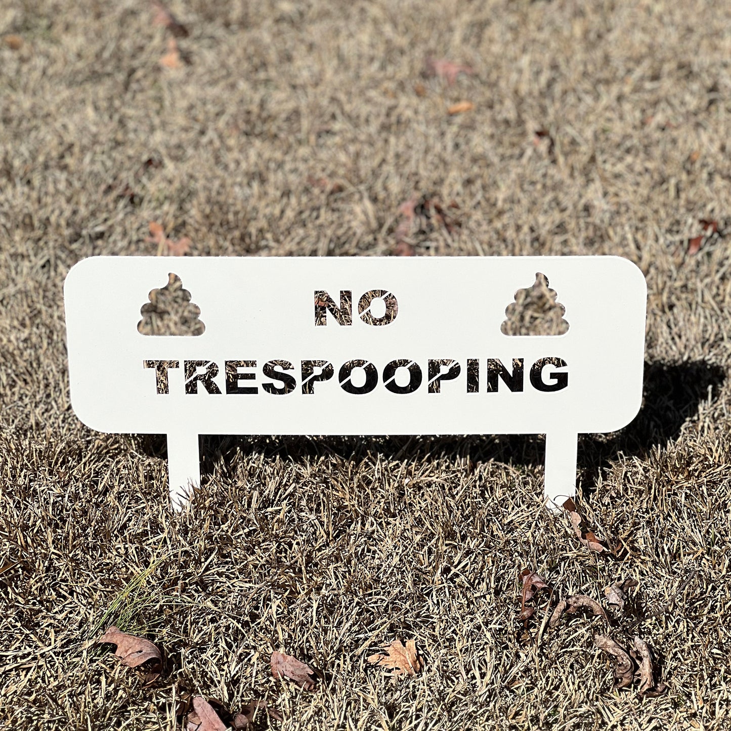 "No-Squatting" Ordinance Sign