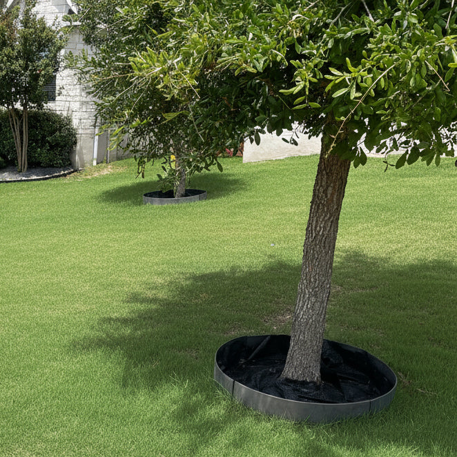 Tree Ring Kits