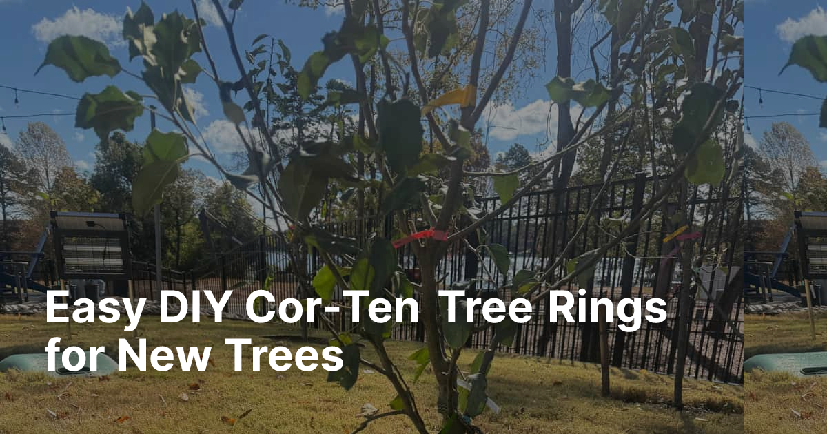 Easy DIY Cor-Ten Tree Rings for New Trees | Edge Right