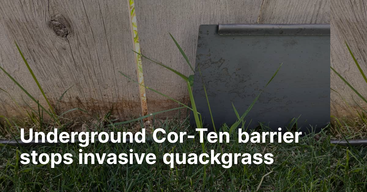 Underground Cor-Ten barrier stops invasive quackgrass | Edge Right