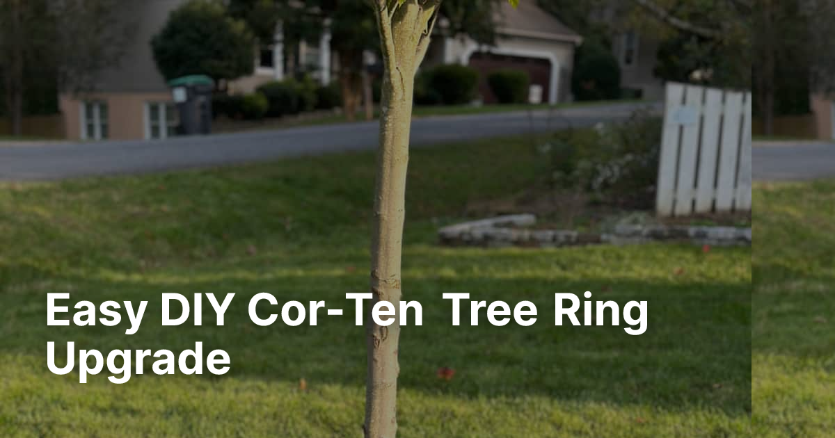 Easy DIY Cor-Ten Tree Ring Upgrade | Edge Right