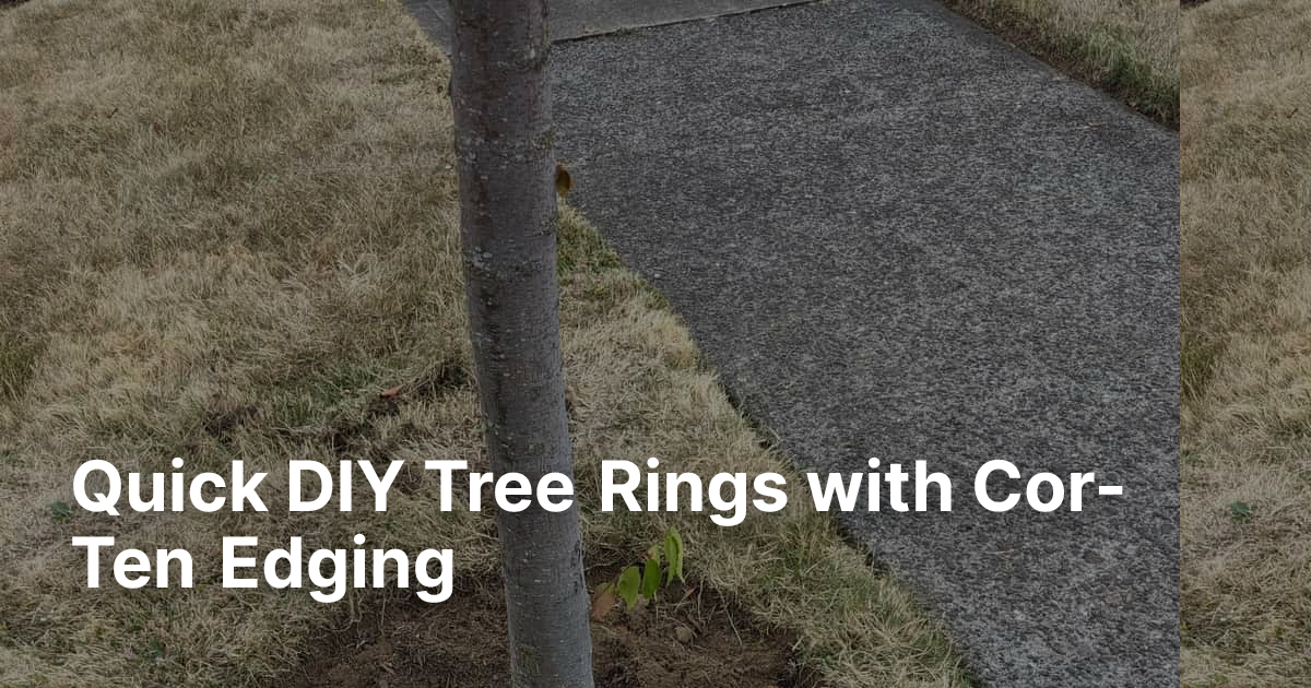 Quick DIY Tree Rings with Cor-Ten Edging | Edge Right